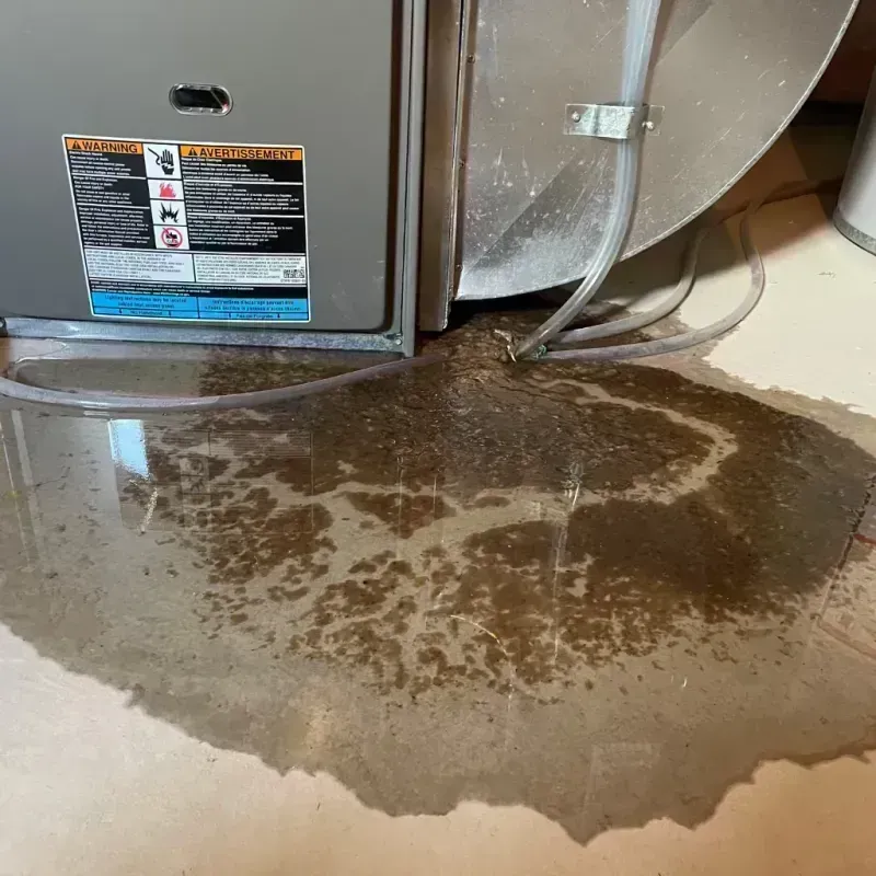 Appliance Leak Cleanup in Fairmont City, IL